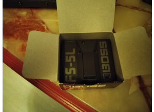 Roland Jazz Chorus JC-22 (32192)