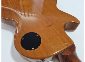 Gibson Les Paul Junior Special (19760)