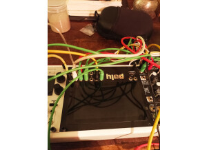 Poly Effects Hector (26751)