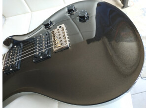 PRS CE 24 20th Anniversary (4167)