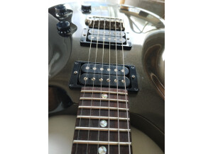 PRS CE 24 20th Anniversary (80750)