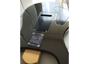 PRS CE 24 20th Anniversary (30670)