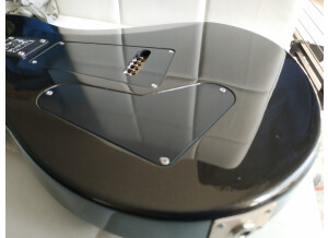 PRS CE 24 20th Anniversary (40813)