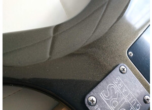 PRS CE 24 20th Anniversary (69905)