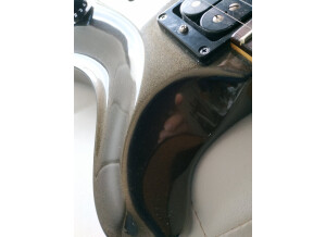 PRS CE 24 20th Anniversary (35095)