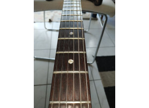 PRS CE 24 20th Anniversary (35914)