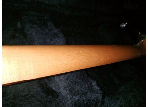 PRS CE 24 20th Anniversary (24550)