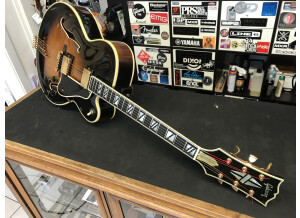 Gibson Super V .CES (81987)