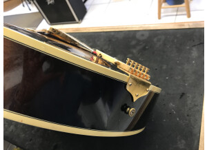 Gibson Super V .CES (39047)