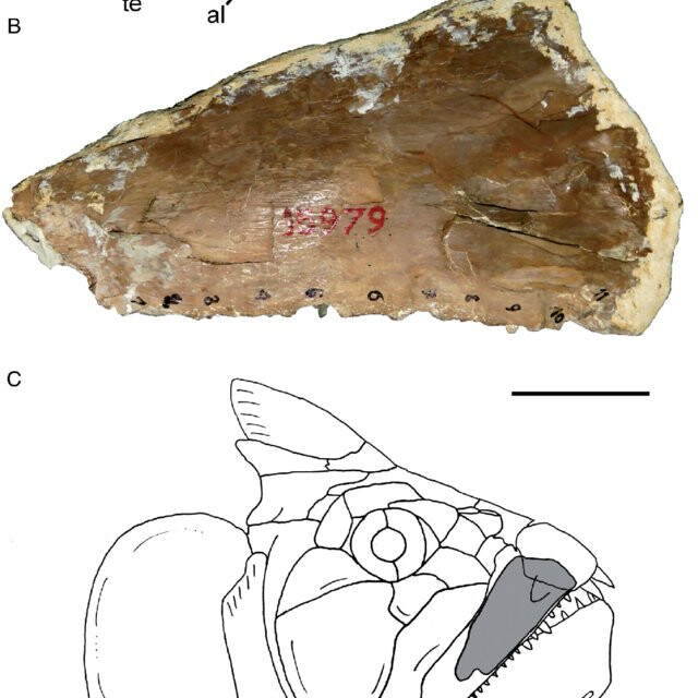 5141023.jpg 5141023.jpg