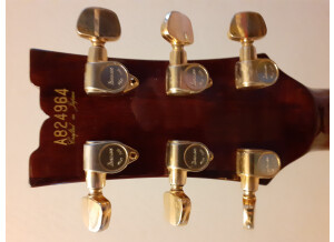 Ibanez AR500 (90029)