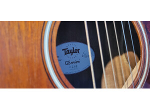 Taylor GS Mini (Mahogany Top) (35694)