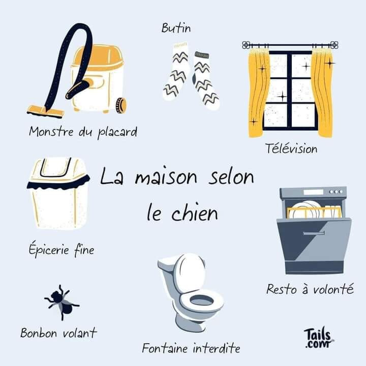 5143597.jpg 5143597.jpg