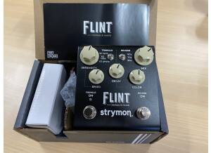 Strymon Flint (13201)