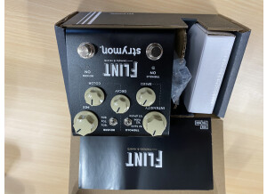 Strymon Flint (6211)