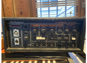 Roland RE-501 Chorus Echo (65023)