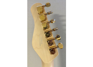 Michael Kelly Guitars Custom Collection 60 Burl Burst (3927)