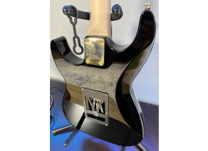 Michael Kelly Guitars Custom Collection 60 Burl Burst