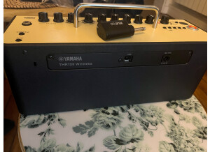 Yamaha THR10II Wireless (38836)