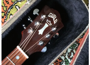 Epiphone Masterbilt DR-500R (5637)