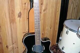 Yamaha APX500