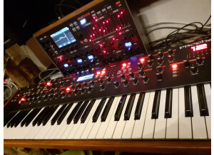 Dave Smith Instruments Prophet 12 (13994)