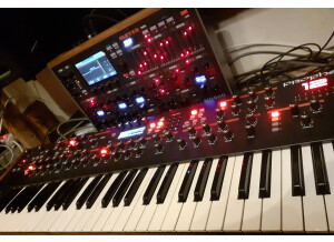 Dave Smith Instruments Prophet 12 (34811)