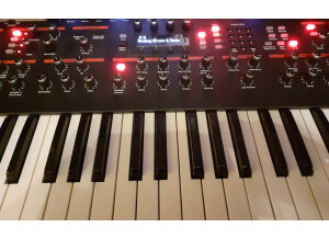 Dave Smith Instruments Prophet 12 (62426)
