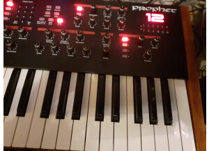 Dave Smith Instruments Prophet 12 (56119)