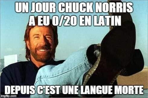 5146330.jpg 5146330.jpg