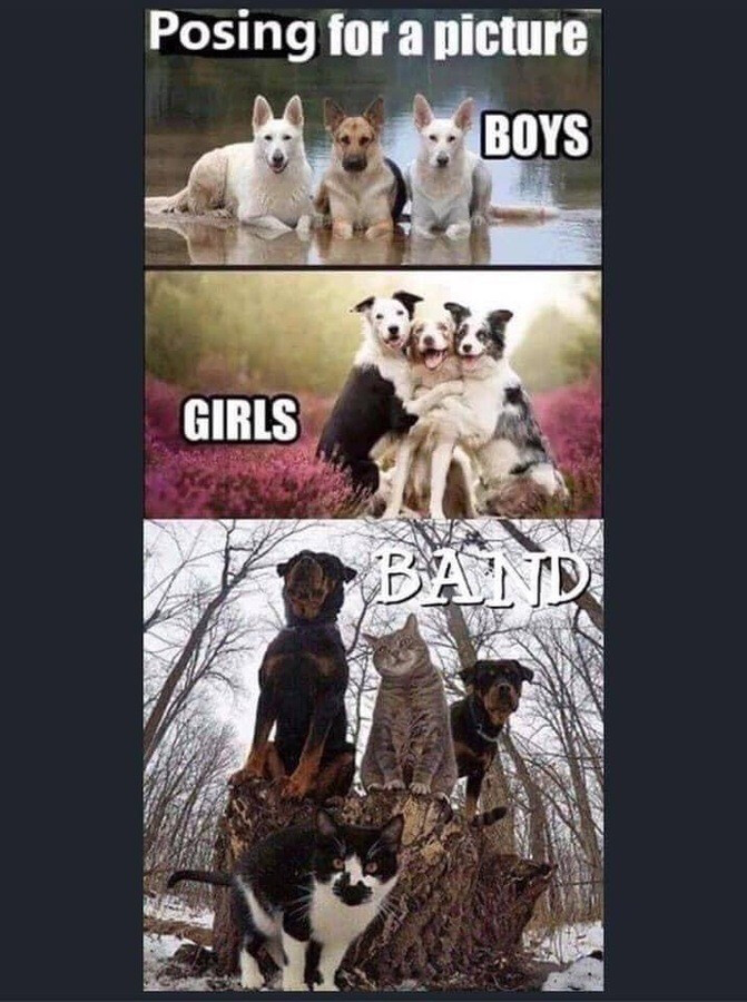 5146540.jpeg 5146540.jpeg