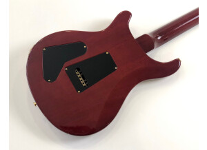 PRS Experience PRS 2013 408 Semi-Hollow (9514)