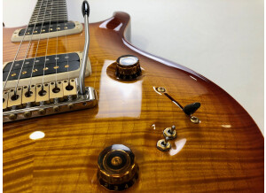 PRS Experience PRS 2013 408 Semi-Hollow (146)