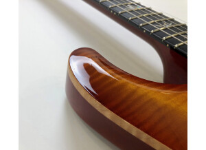 PRS Experience PRS 2013 408 Semi-Hollow (43815)