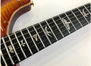 PRS Experience PRS 2013 408 Semi-Hollow (99870)