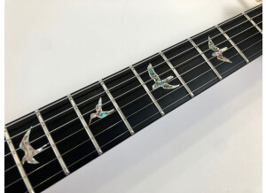 PRS Experience PRS 2013 408 Semi-Hollow (80593)