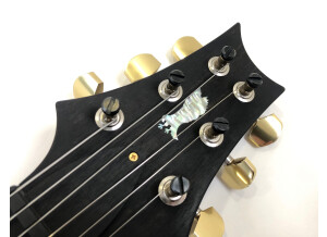 PRS Experience PRS 2013 408 Semi-Hollow (31154)