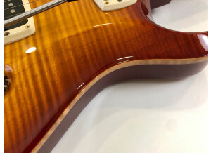 PRS Experience PRS 2013 408 Semi-Hollow (69220)