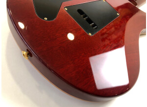 PRS Experience PRS 2013 408 Semi-Hollow (45017)