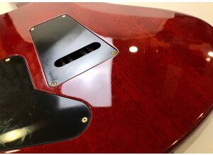 PRS Experience PRS 2013 408 Semi-Hollow (60228)