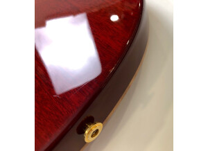 PRS Experience PRS 2013 408 Semi-Hollow (26218)