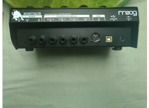 Moog Music Minitaur (88889)