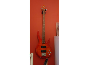 Peavey Dyna Bass FT (5590)