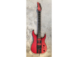 Schecter Banshee GT FR (1372)