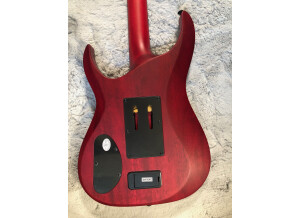 Schecter Banshee GT FR (53863)