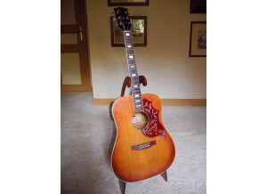Gibson Hummingbird (47129)