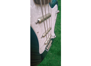 Fender Classic Player Rascal Bass (51351)