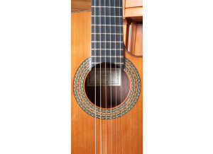 Alhambra Guitars 9 P CW E2