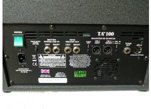Trace Acoustic TA 100