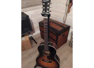 Epiphone EL-00 Pro